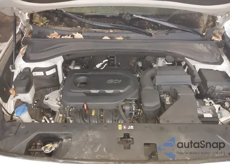 2019 Hyundai Santa Fe Sel из США, поврежденный, VIN 5NMS3CAD6KH090213